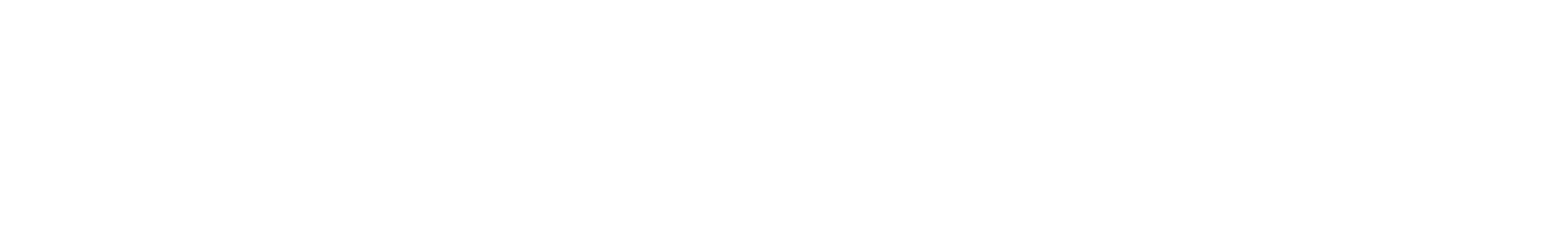 logo_Falkon