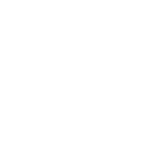 logo_albert-michler